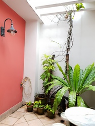Villa Verde (D23), Terrace #182173262